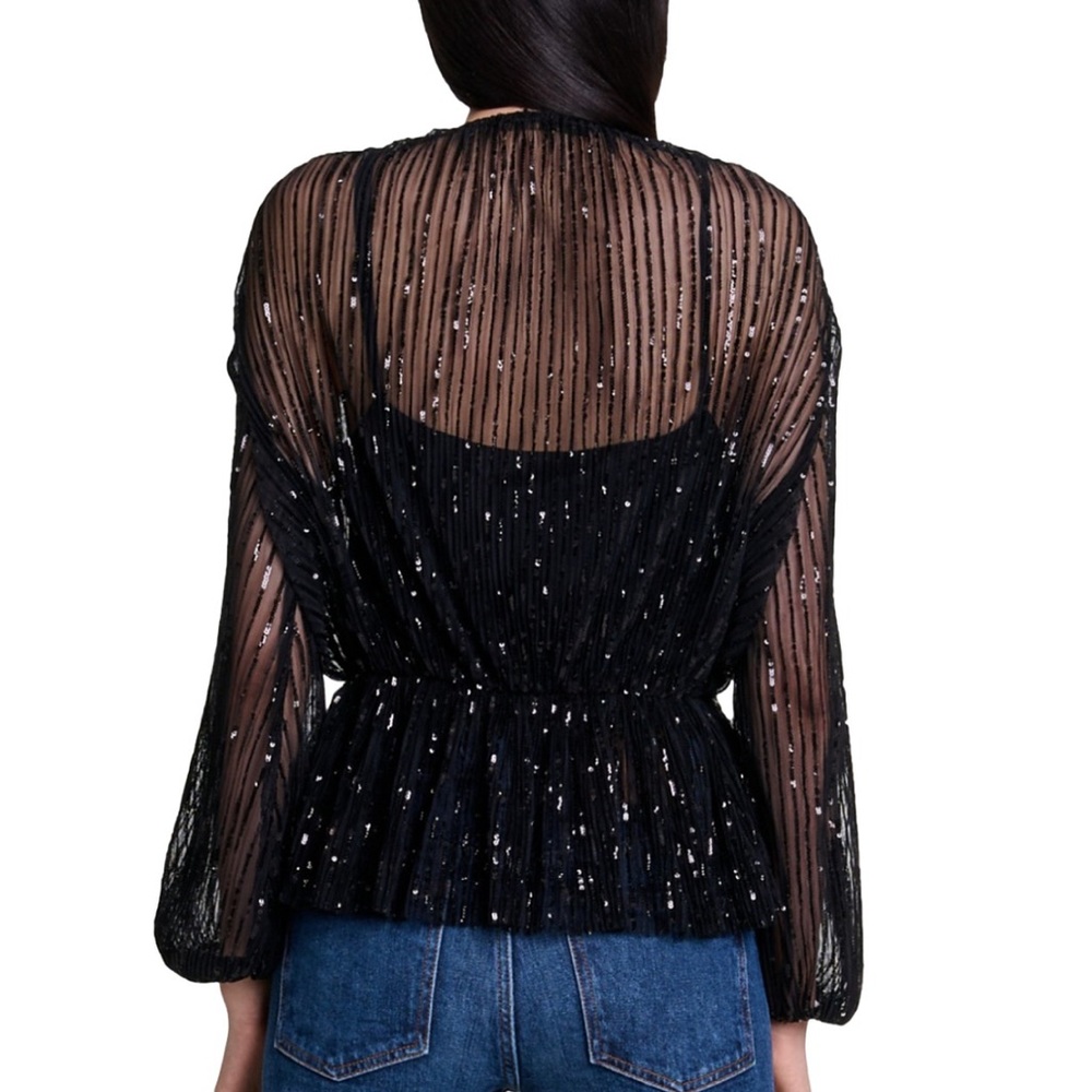 NWT Maje Levinou Sheer Top With Mini Sequins—missing camisole - Picture 2 of 13